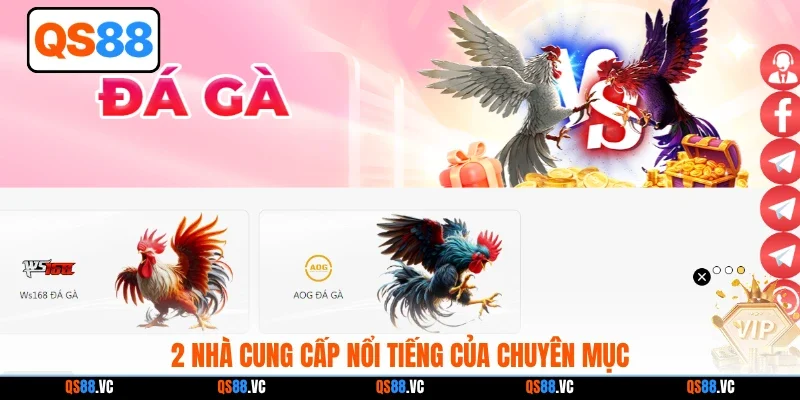 2 nhà cung cấp nổi tiếng của chuyên mục