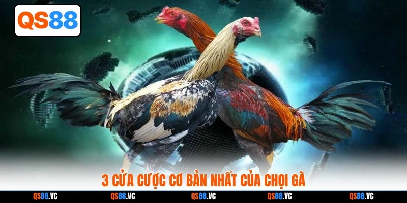 3 cửa cược cơ bản nhất của chọi gà