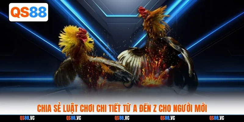 Chia sẻ luật chơi chi tiết từ A đến Z cho người mới