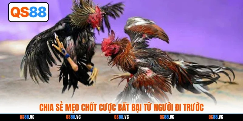 Chia sẻ mẹo chốt cược bất bại từ người đi trước