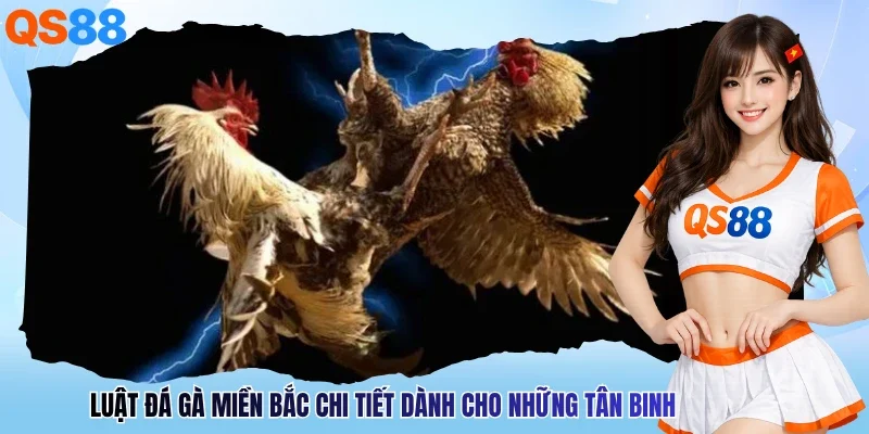 Luật Đá Gà Miền Bắc Chi Tiết Dành Cho Những Tân Binh