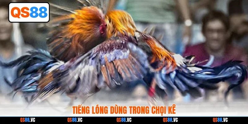 Tiếng lóng dùng trong chọi kê