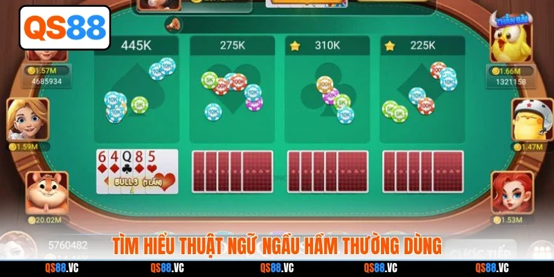 Tìm hiểu thuật ngữ Ngầu Hầm thường dùng